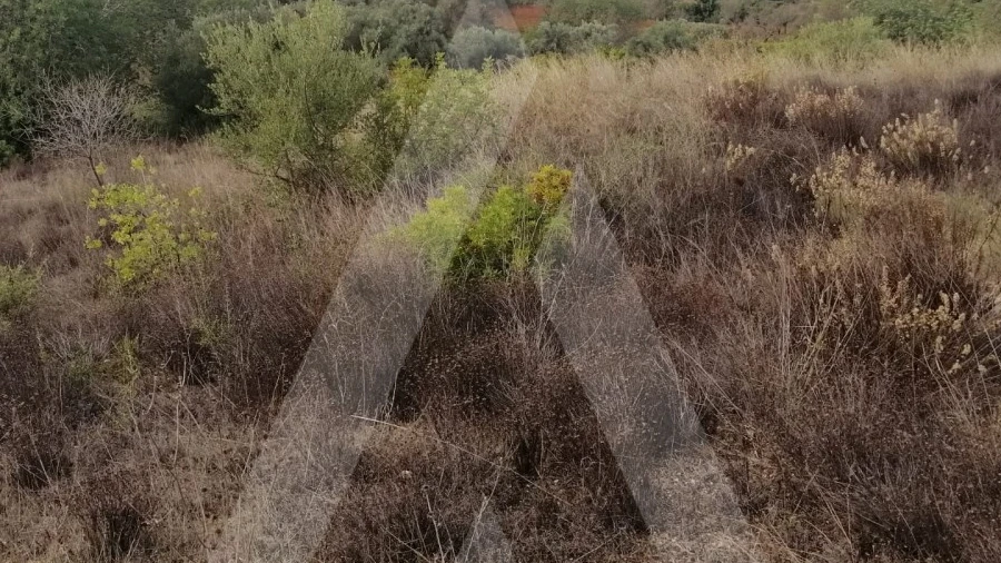 Terreno Agricola ou Rústico para Venda em Loule (São Sebastião)