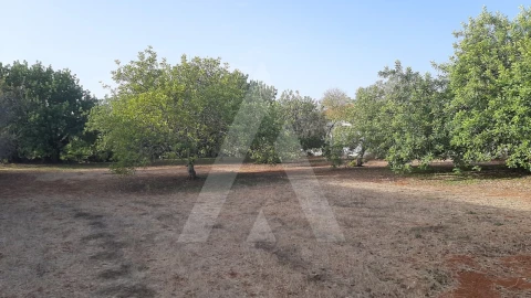 Terreno para Venda em São Brás de Alportel