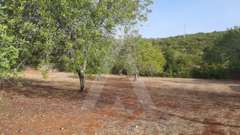Terreno para Venda em São Brás de Alportel