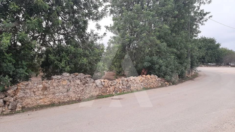 Terreno para Venda em São Brás de Alportel