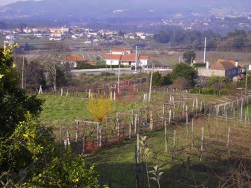 Terreno para Venda em Messegães, Valadares e Sá