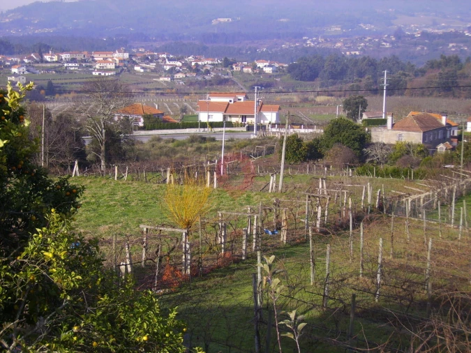 Terreno para Venda em Messegães, Valadares e Sá Foto 3
