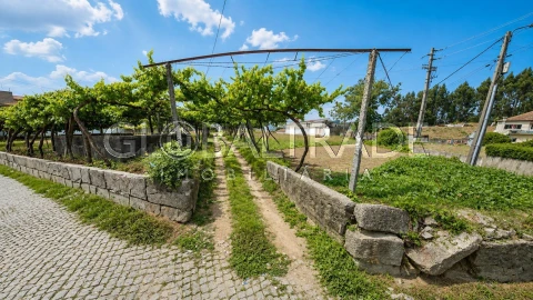 Terreno para Venda em Duas Igrejas