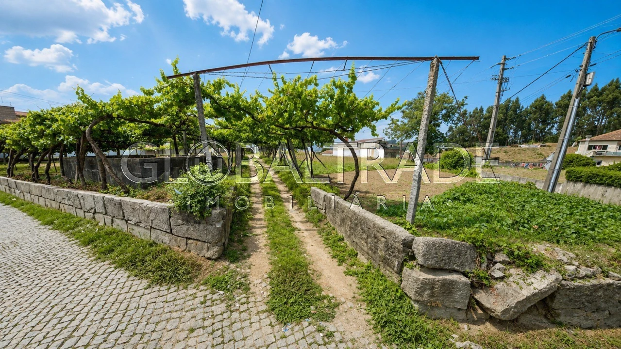 Terreno para Venda em Duas Igrejas Foto 6