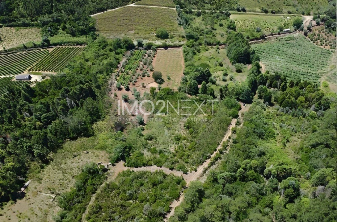 Terreno para Venda em Vila Seca e Bem da Fé Foto 2