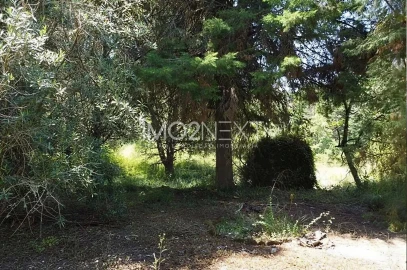 Terreno para Venda em Vila Seca e Bem da Fé