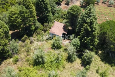 Terreno para Venda em Vila Seca e Bem da Fé