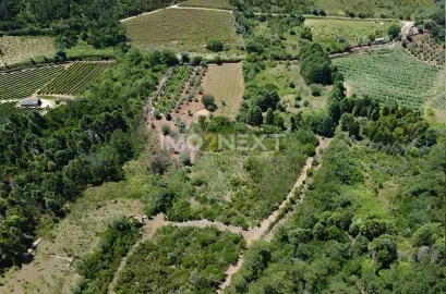 Terreno para Venda em Vila Seca e Bem da Fé