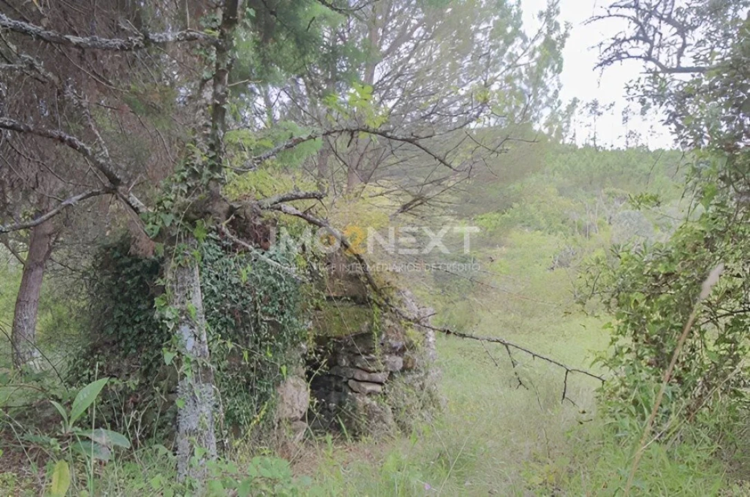 Terreno para Venda em Vila Seca e Bem da Fé Foto 6