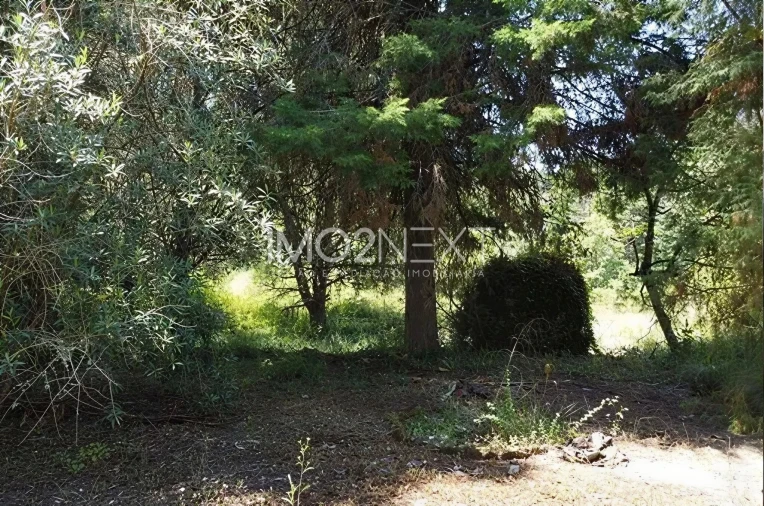 Terreno para Venda em Vila Seca e Bem da Fé Foto 5