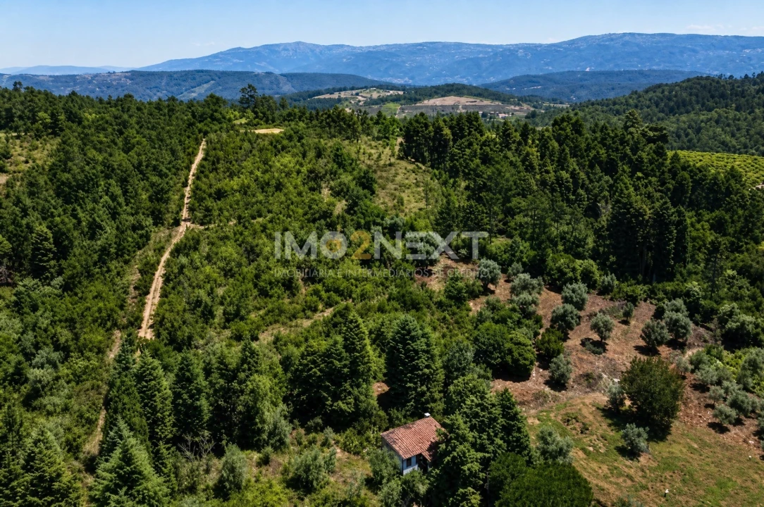 Terreno para Venda em Vila Seca e Bem da Fé Foto 1