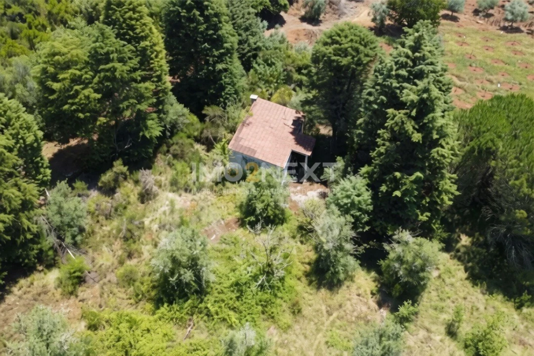 Terreno para Venda em Vila Seca e Bem da Fé Foto 9