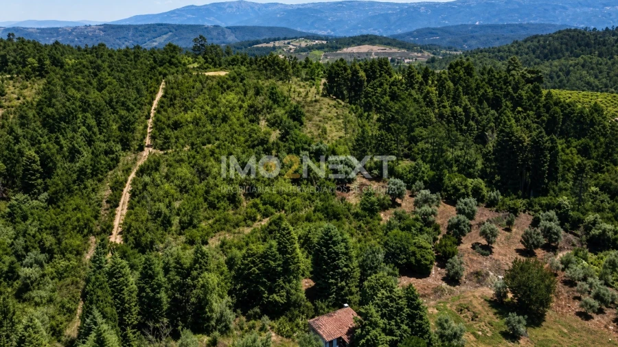 Terreno para Venda em Vila Seca e Bem da Fé