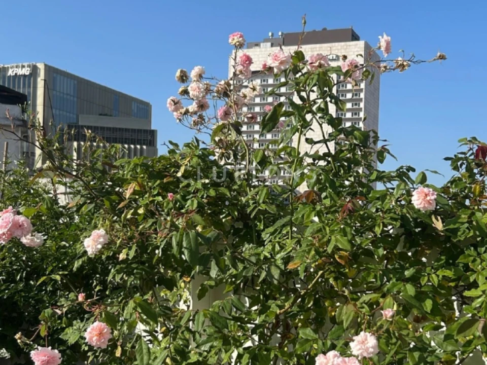 Apartamento T3 para Venda em Avenidas Novas Foto 36