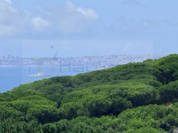Apartamento T3 para Venda em Charneca de Caparica e Sobreda