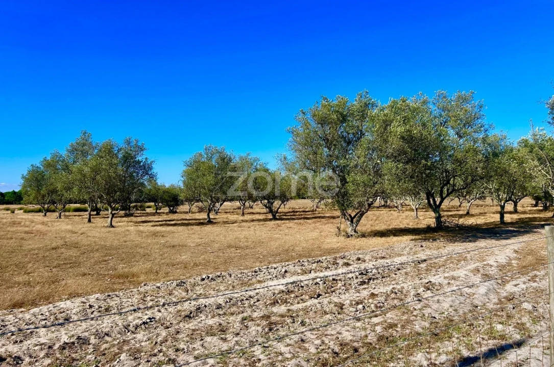 Terreno para Venda em Grândola e Santa Margarida da Serra Foto 3
