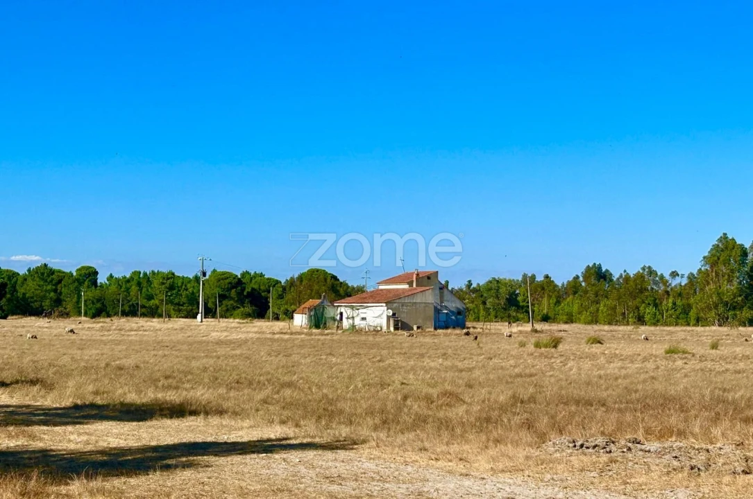 Terreno para Venda em Grândola e Santa Margarida da Serra Foto 1