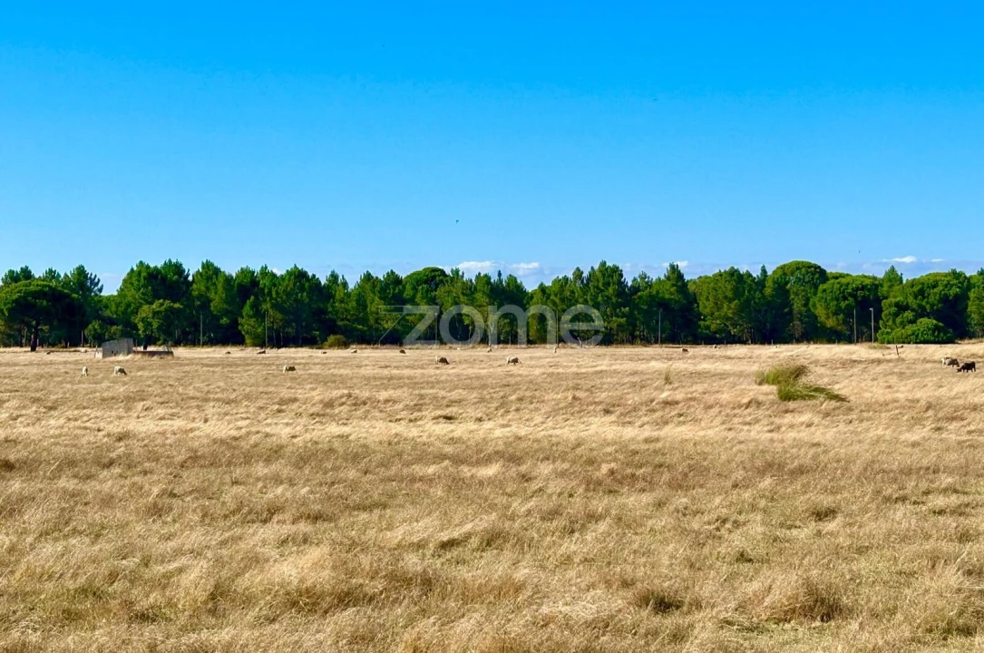 Terreno para Venda em Grândola e Santa Margarida da Serra Foto 5