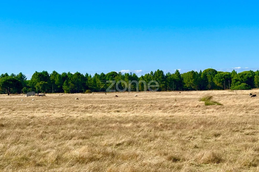 Terreno para Venda em Grândola e Santa Margarida da Serra Foto 7