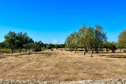 Terreno para Venda em Grândola e Santa Margarida da Serra