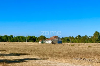 Terreno para Venda em Grândola e Santa Margarida da Serra