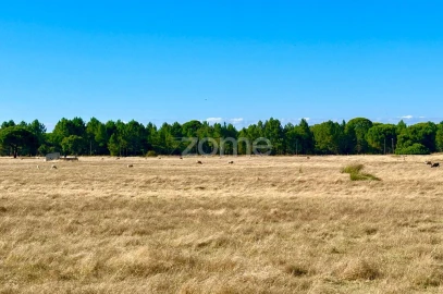 Terreno para Venda em Grândola e Santa Margarida da Serra