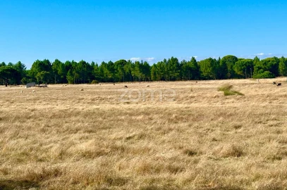 Terreno para Venda em Grândola e Santa Margarida da Serra