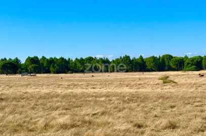 Terreno para Venda em Grândola e Santa Margarida da Serra
