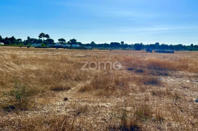 Terreno para Venda em Grândola e Santa Margarida da Serra