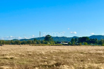 Terreno para Venda em Grândola e Santa Margarida da Serra