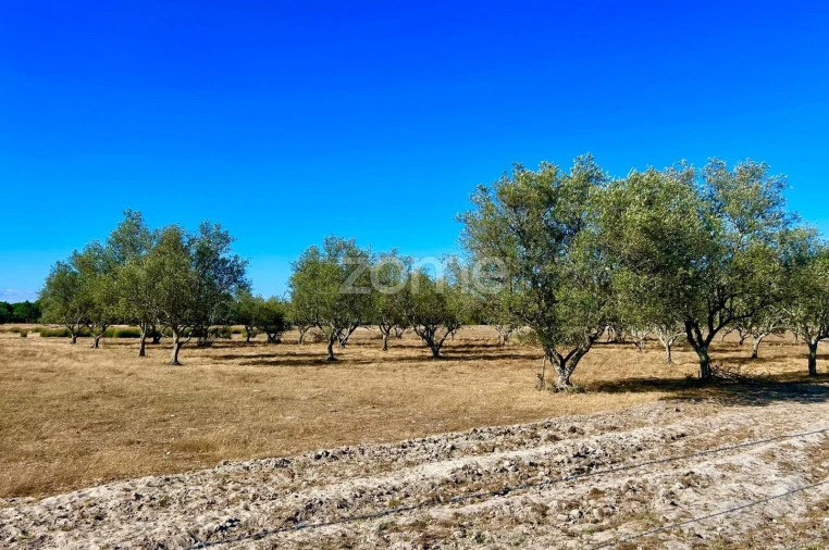 Terreno para Venda em Grândola e Santa Margarida da Serra Foto 2