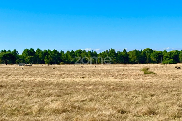 Terreno para Venda em Grândola e Santa Margarida da Serra Foto 5