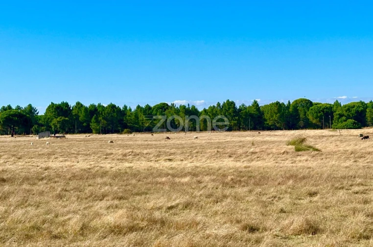 Terreno para Venda em Grândola e Santa Margarida da Serra Foto 7
