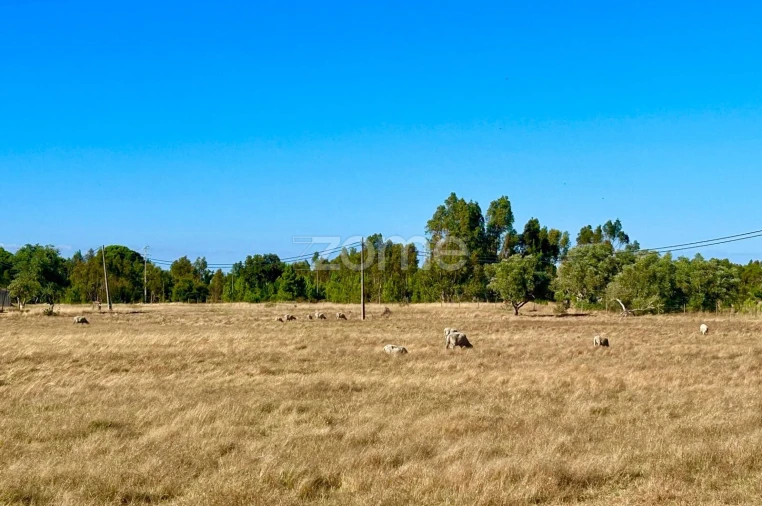 Terreno para Venda em Grândola e Santa Margarida da Serra Foto 8