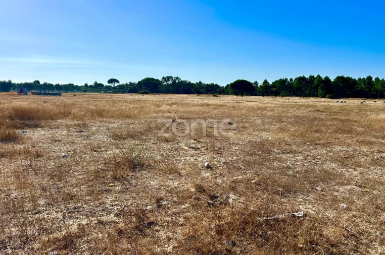 Terreno para Venda em Grândola e Santa Margarida da Serra Foto 10
