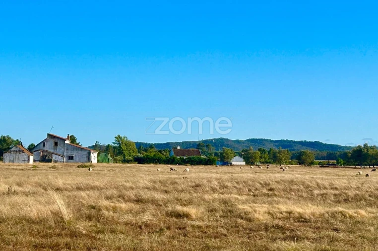 Terreno para Venda em Grândola e Santa Margarida da Serra Foto 14