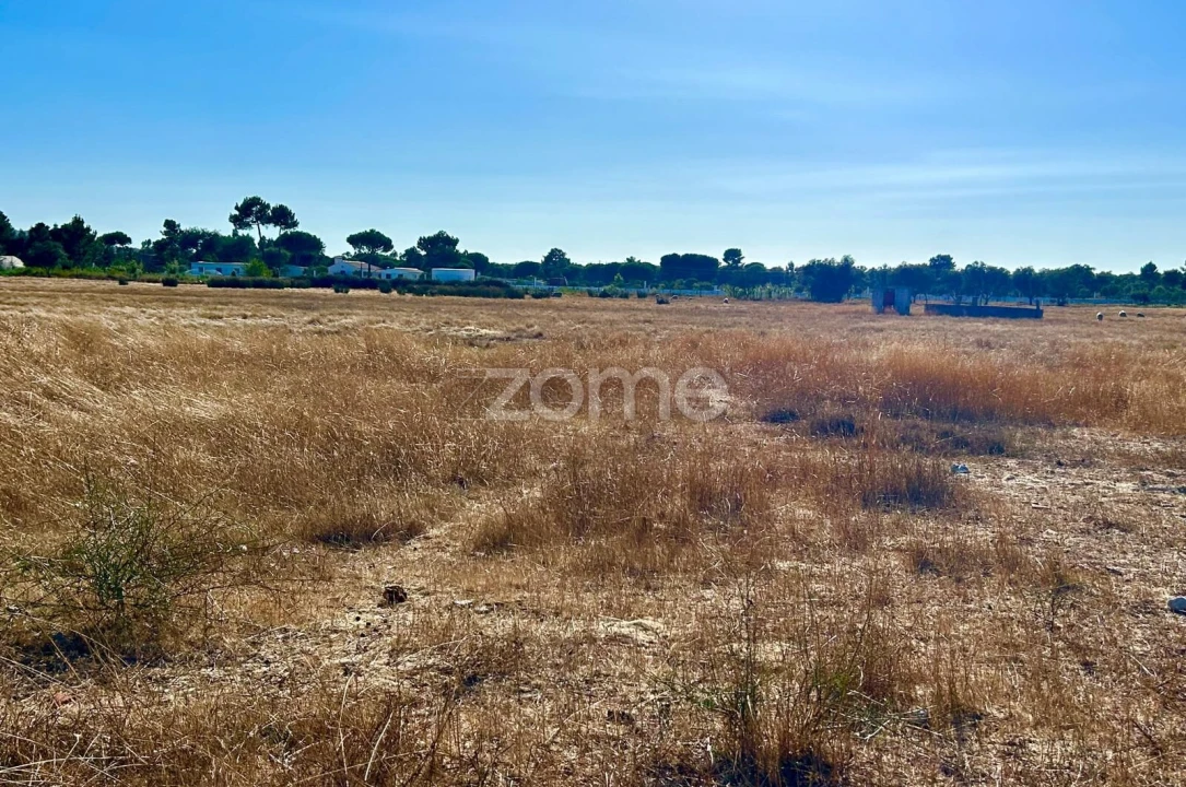 Terreno para Venda em Grândola e Santa Margarida da Serra Foto 11