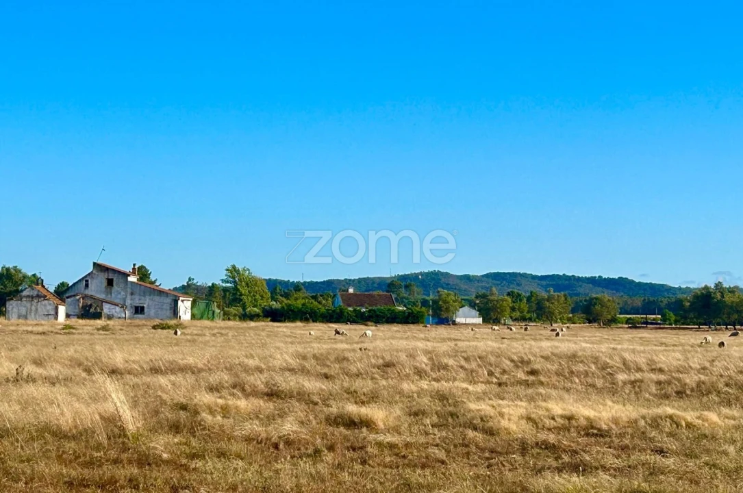 Terreno para Venda em Grândola e Santa Margarida da Serra Foto 14