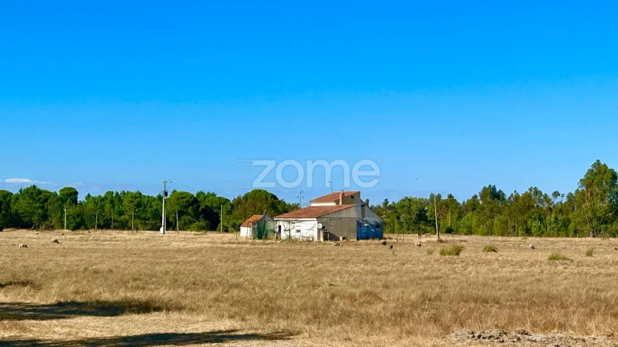 Terreno para Venda em Grândola e Santa Margarida da Serra