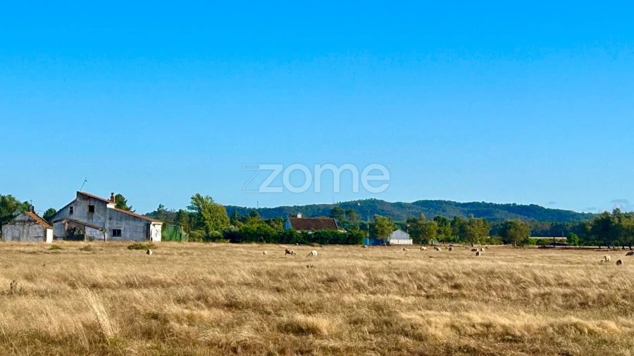 Terreno para Venda em Grândola e Santa Margarida da Serra