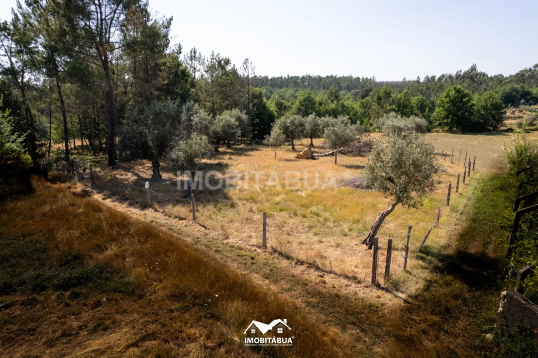 Terreno Agricola ou Rústico para Venda em Pinheiro de Coja e Meda de Mouros Foto 1