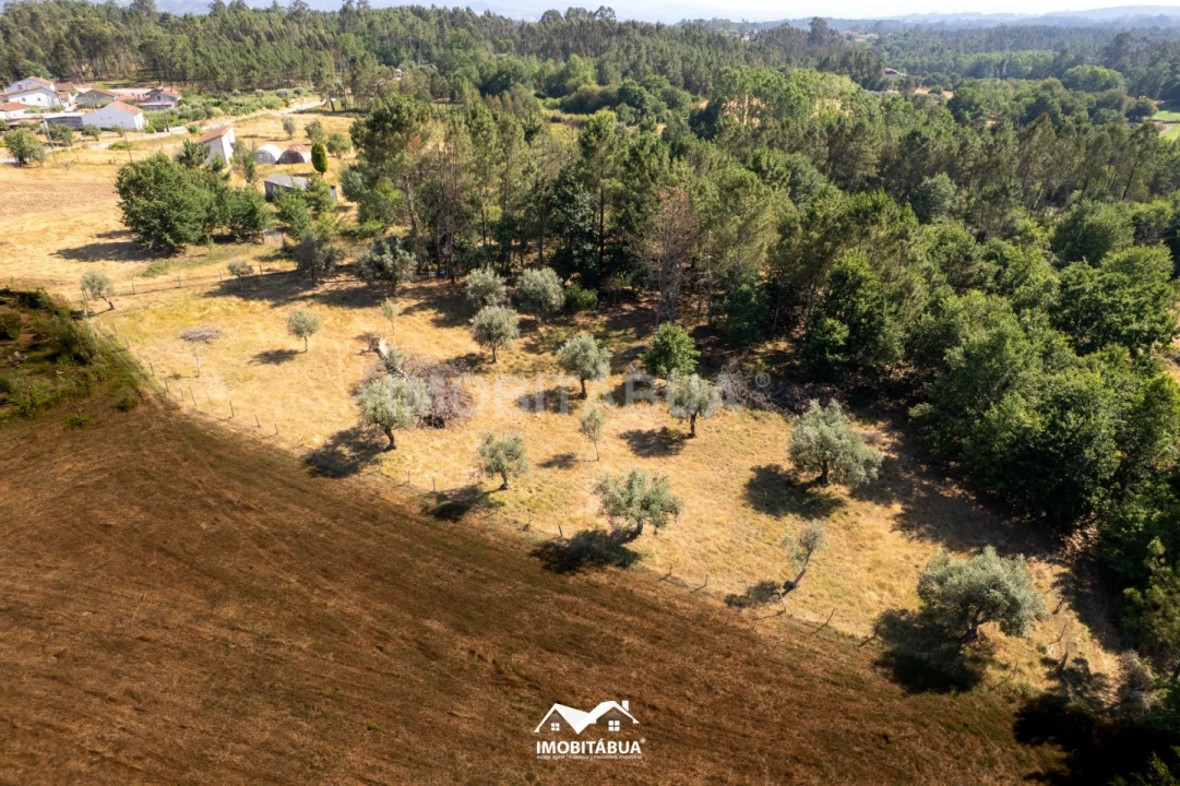 Terreno Agricola ou Rústico para Venda em Pinheiro de Coja e Meda de Mouros Foto 2