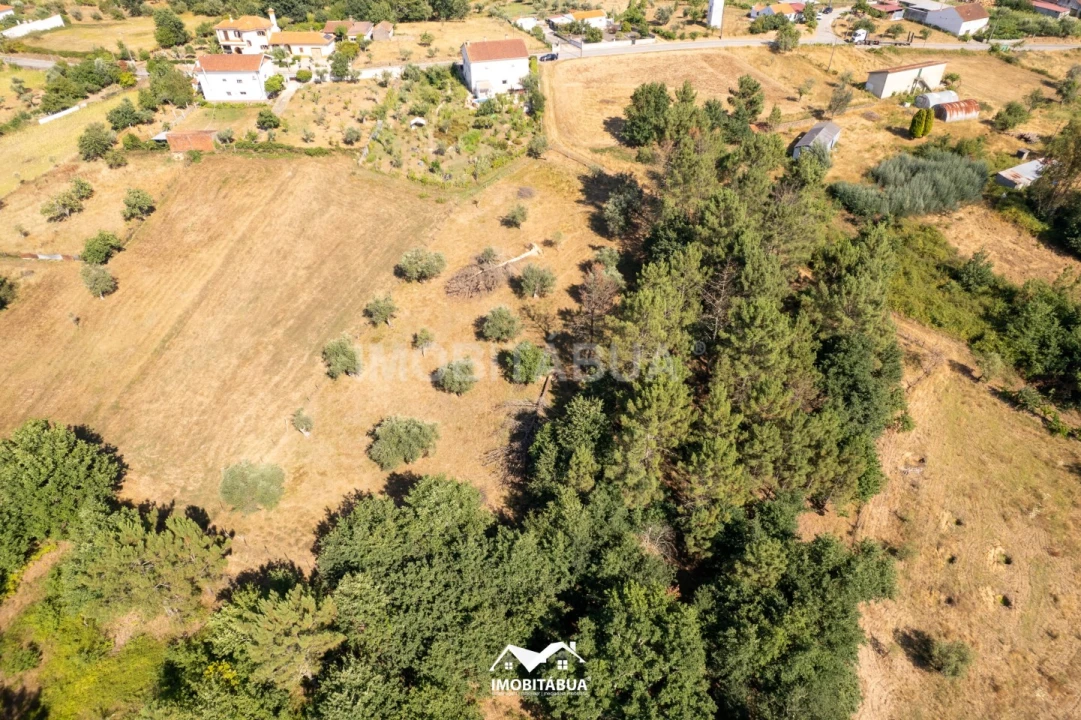 Terreno Agricola ou Rústico para Venda em Pinheiro de Coja e Meda de Mouros Foto 3
