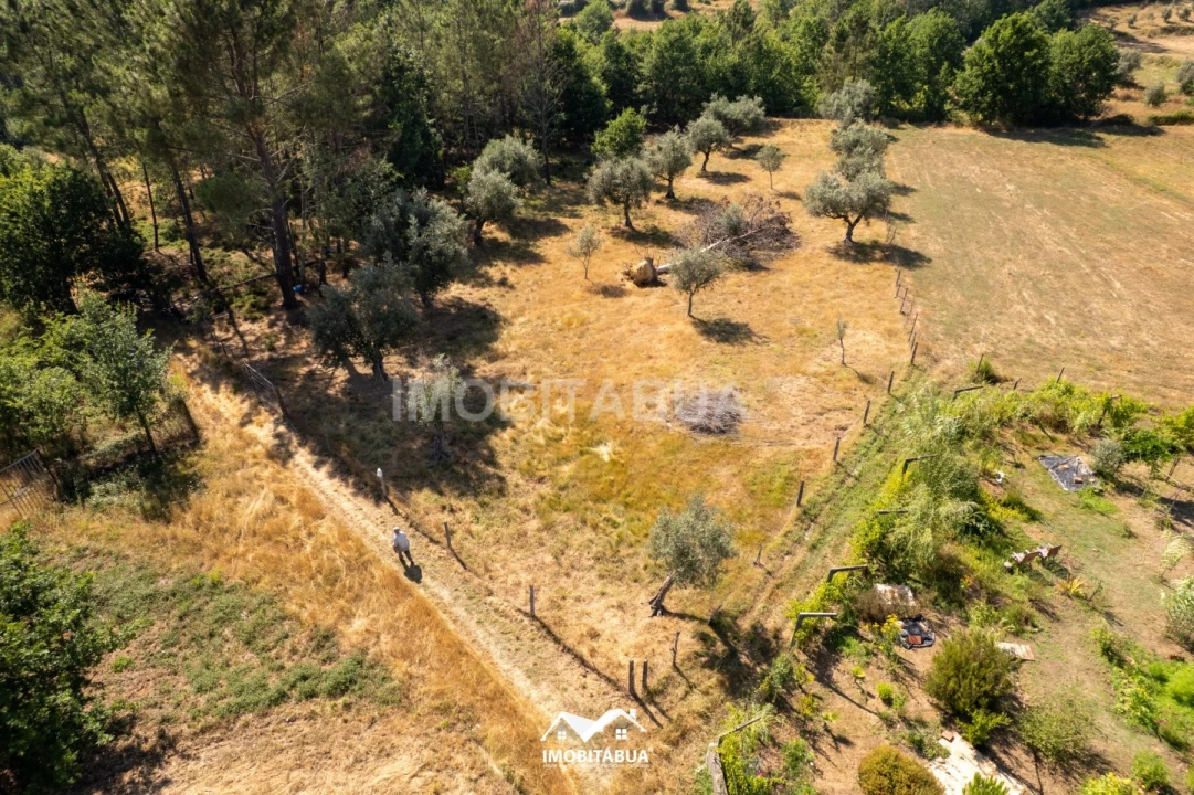 Terreno Agricola ou Rústico para Venda em Pinheiro de Coja e Meda de Mouros Foto 4