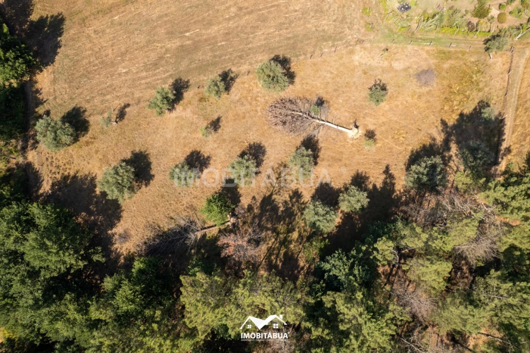 Terreno Agricola ou Rústico para Venda em Pinheiro de Coja e Meda de Mouros Foto 5