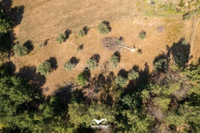 Terreno Agricola ou Rústico para Venda em Pinheiro de Coja e Meda de Mouros