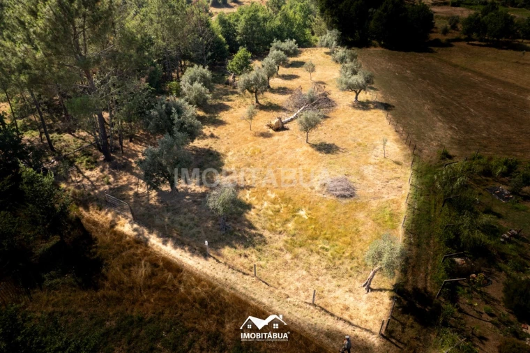 Terreno Agricola ou Rústico para Venda em Pinheiro de Coja e Meda de Mouros Foto 7