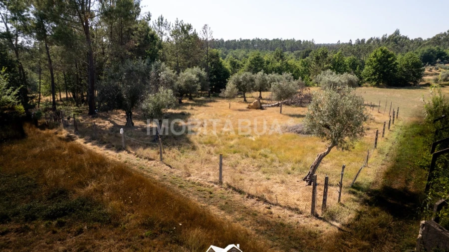 Terreno Agricola ou Rústico para Venda em Pinheiro de Coja e Meda de Mouros