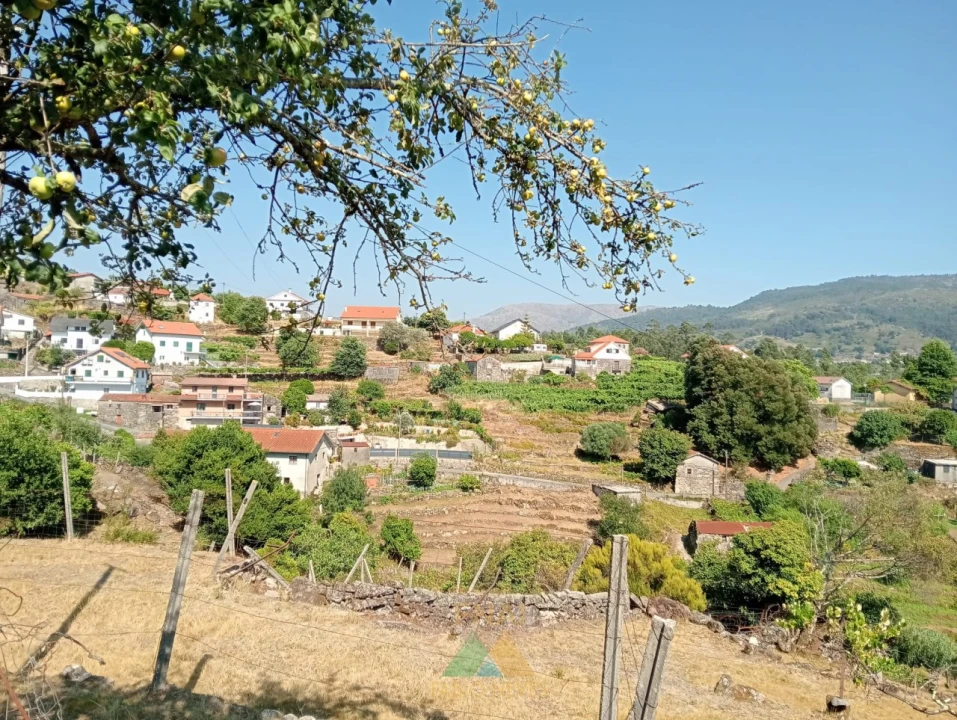 Moradia T1 para Venda em Soajo Foto 14