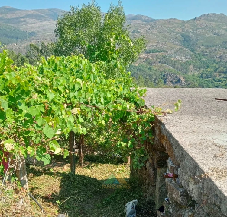 Moradia T1 para Venda em Soajo Foto 15
